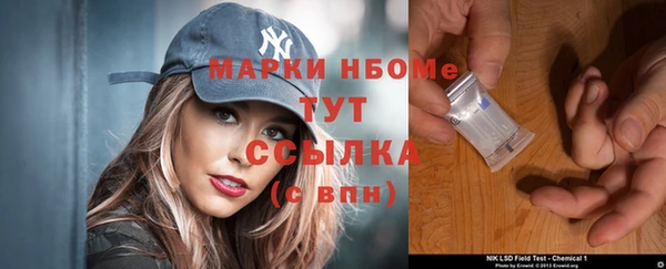 сатива Ростов